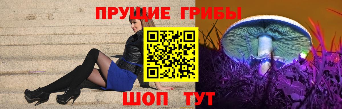 Котлас  Галлюциногенные грибы Psilocybe  Вход с VPN 