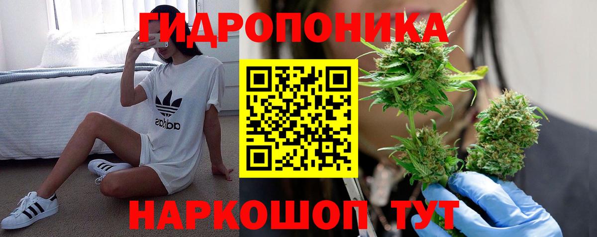 Котлас  Шишки марихуана марихуана  Марихуана Amnesia  Вход с VPN 